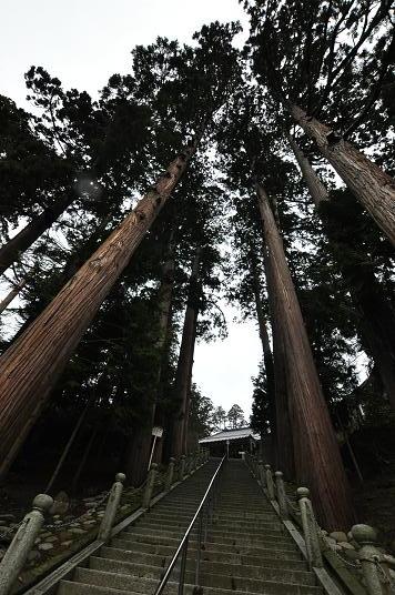 おごそかな階段